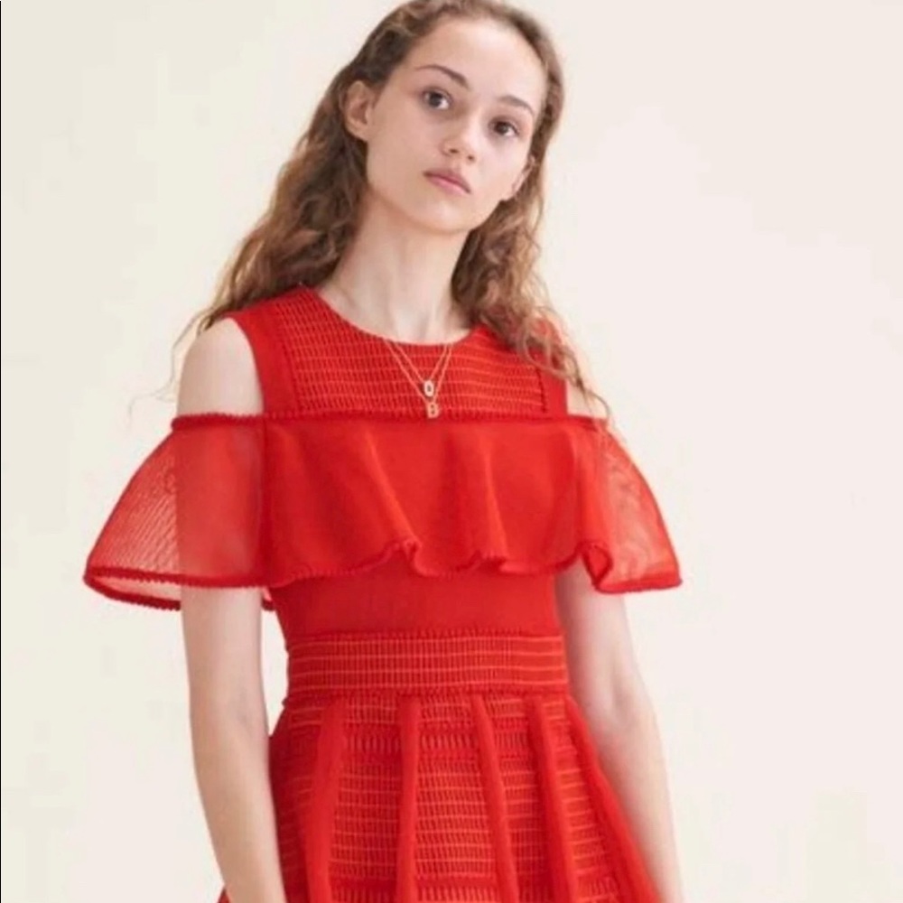 Rosalie Ruffle Mesh Dress Size 1